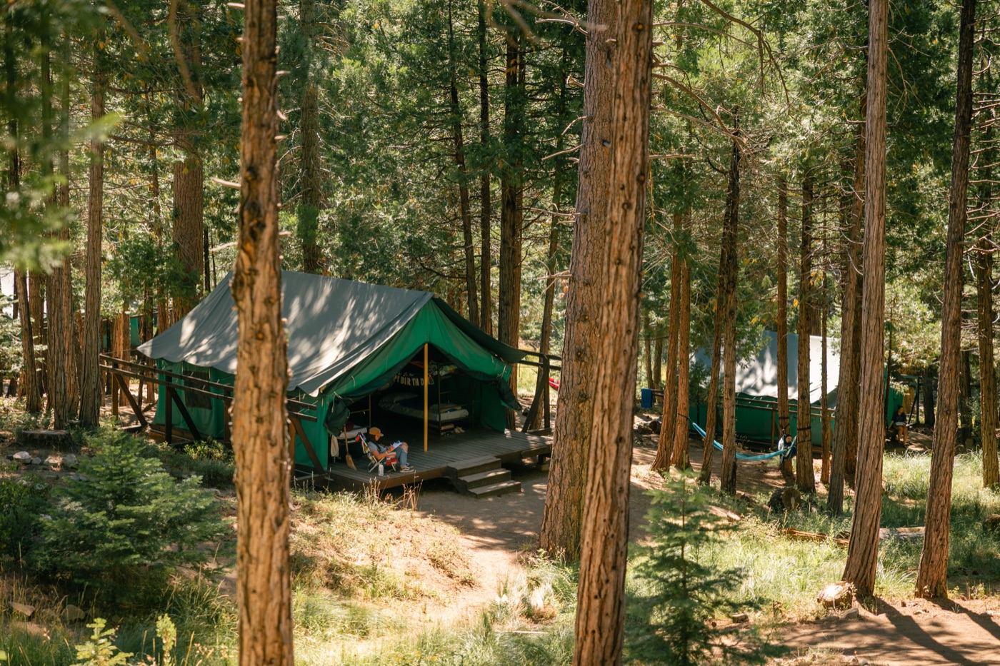 A platform tent among tall pines at Hume SoCal.